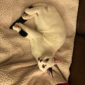 Meet your Posher, Jack